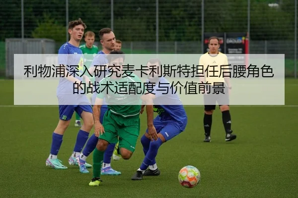 利物浦深入研究麦卡利斯特担任后腰角色的战术适配度与价值前景